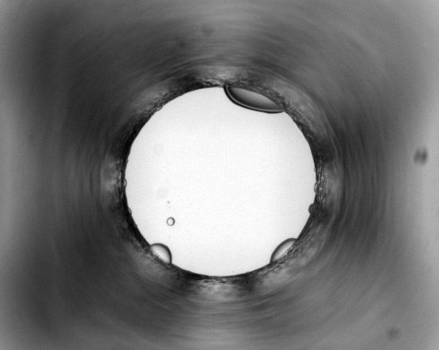 X0000103450284200810101134