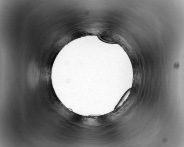 X0000103450285200810101134