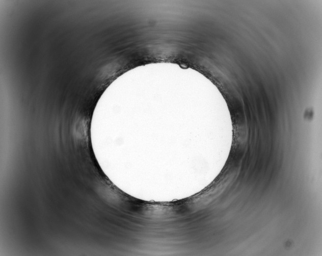 X0000103450286200810101134