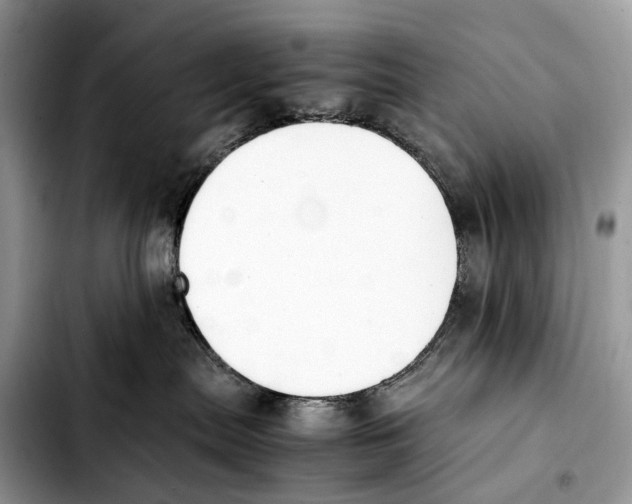 X0000103450287200810101134