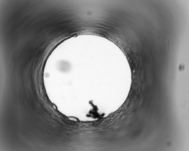 X0000103450289200810101133