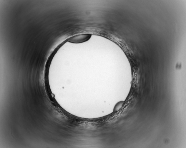 X0000103450292200810101133