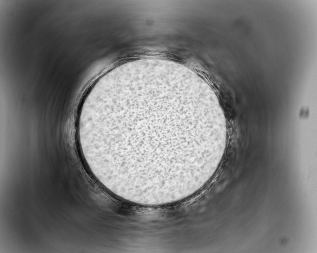 X0000103450293200810101133