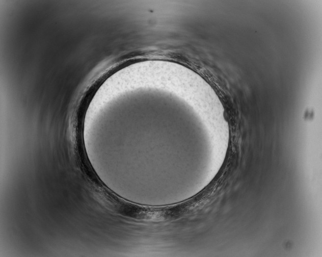 X0000103450295200810101133