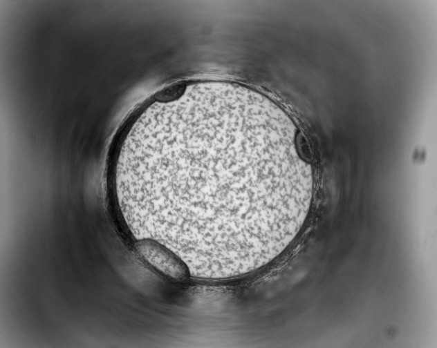 X0000103450296200810101133