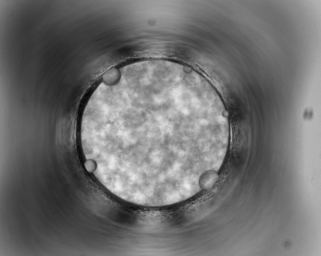 X0000103450301200810101133