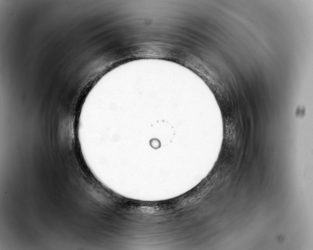 X0000103450302200810101133