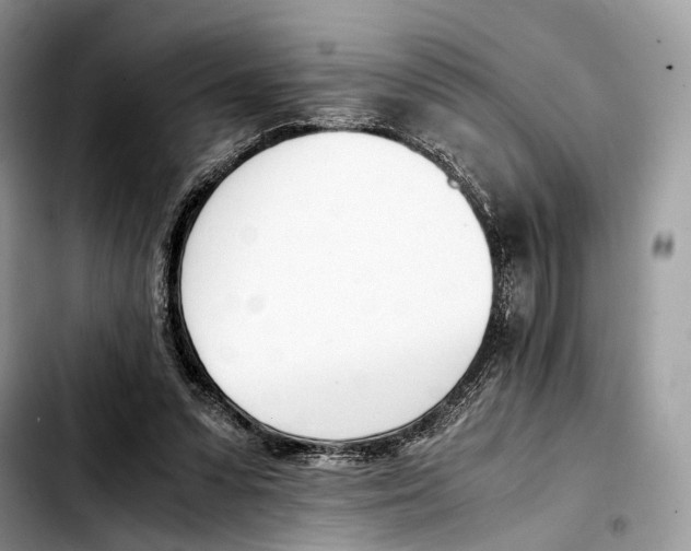 X0000103450303200810101133