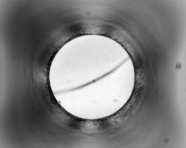 X0000103450305200810101133