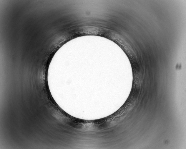 X0000103450309200810101133