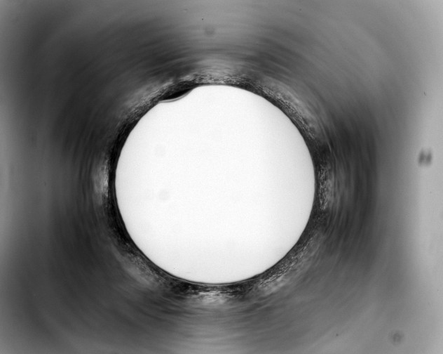 X0000103450310200810101133