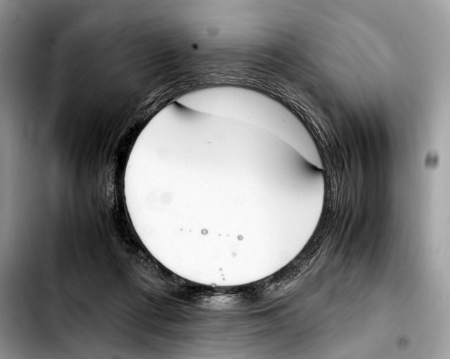 X0000103450312200810101133