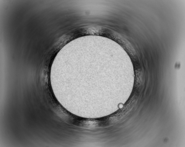 X0000103450313200810101133