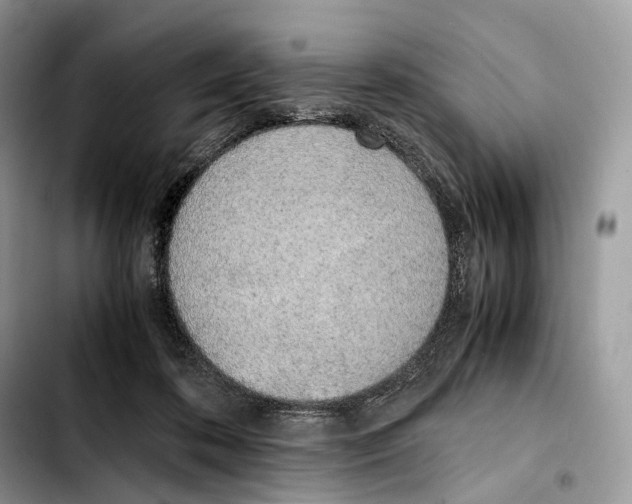 X0000103450316200810101133