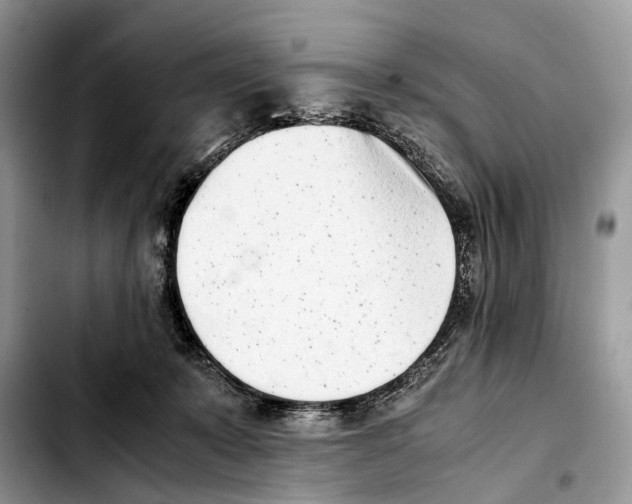 X0000103450319200810101133