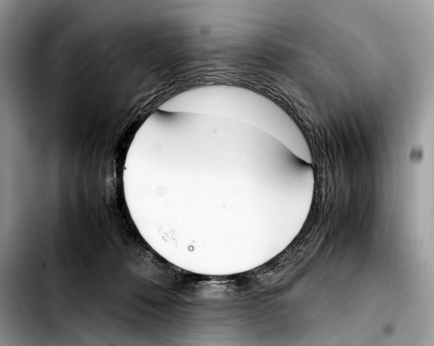 X0000103450320200810101133