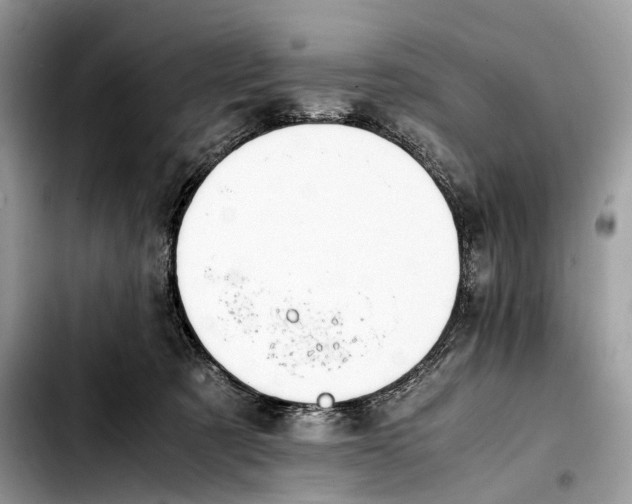 X0000103450321200810101133