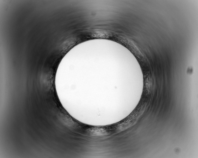 X0000103450322200810101133