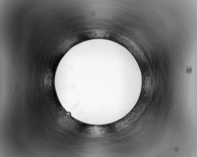 X0000103450326200810101133