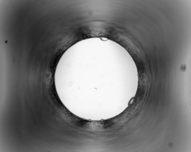 X0000103450327200810101133