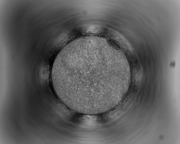 X0000103450328200810101133