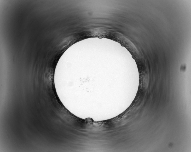 X0000103450329200810101133