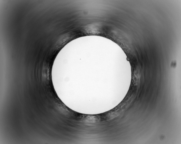 X0000103450330200810101133