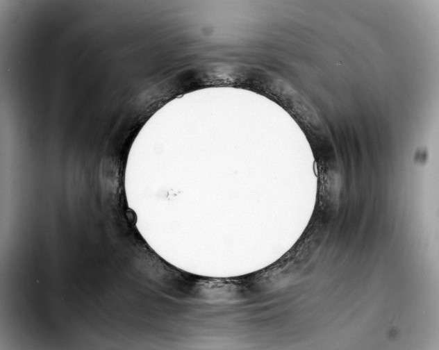 X0000103450331200810101133