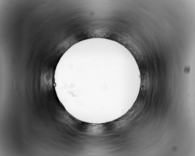 X0000103450334200810101133