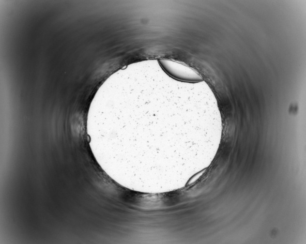 X0000103450335200810101133