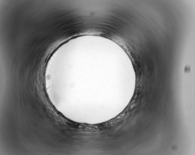 X0000103450337200810101132