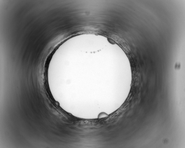 X0000103450338200810101132