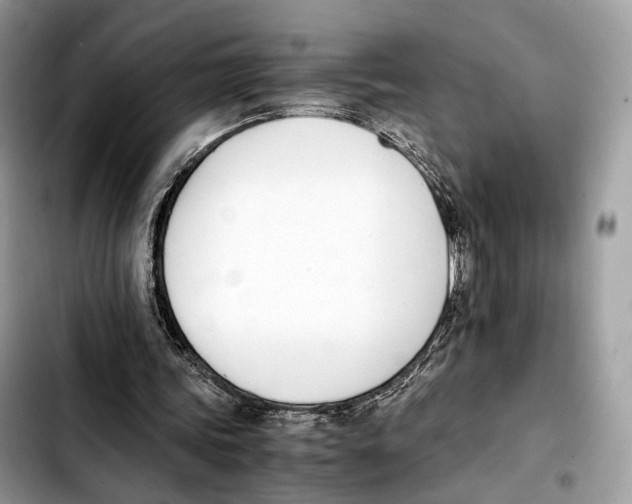 X0000103450339200810101132