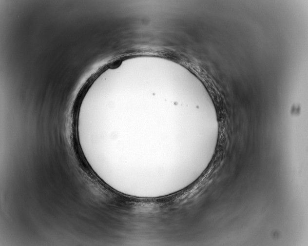 X0000103450342200810101132