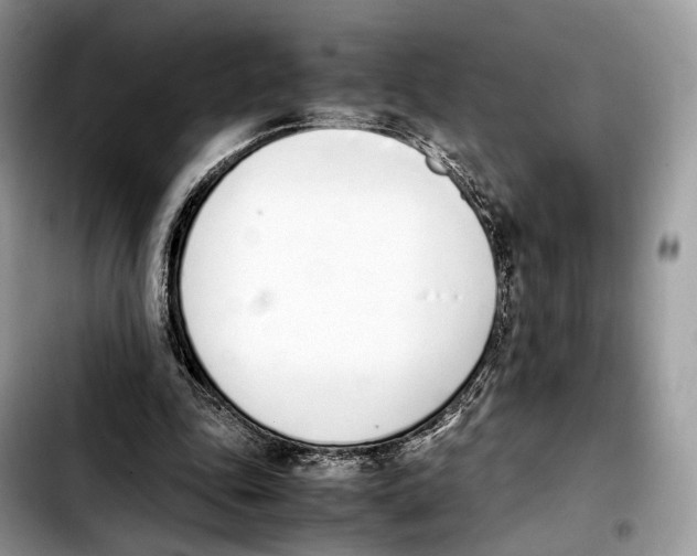 X0000103450343200810101132