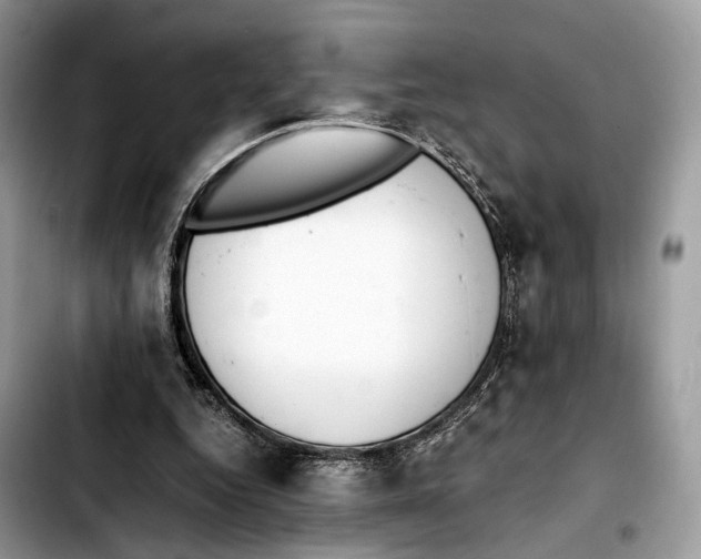 X0000103450344200810101132