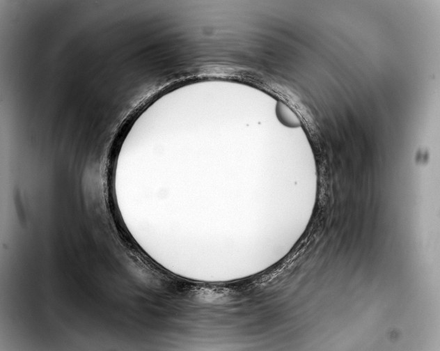 X0000103450346200810101132