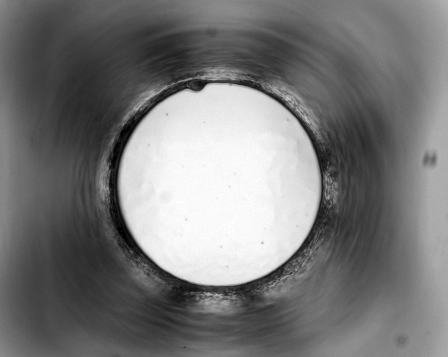 X0000103450347200810101132