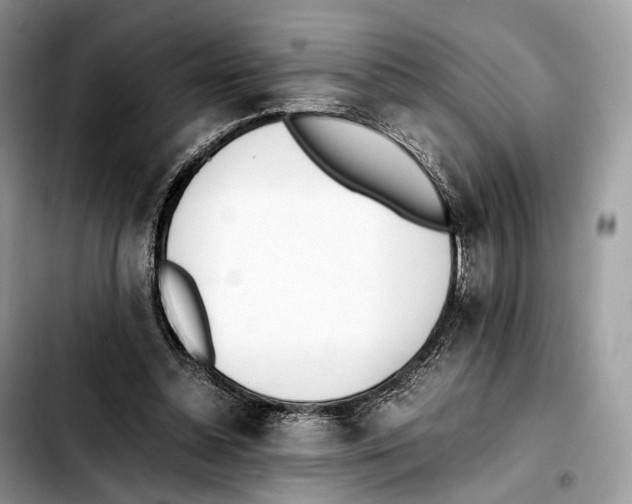 X0000103450348200810101132