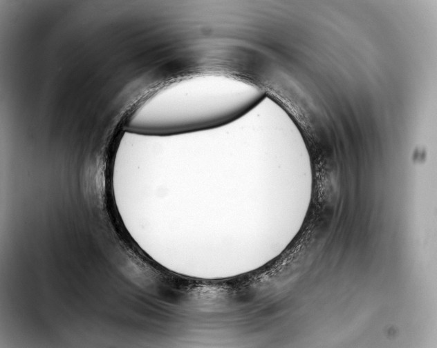 X0000103450350200810101132