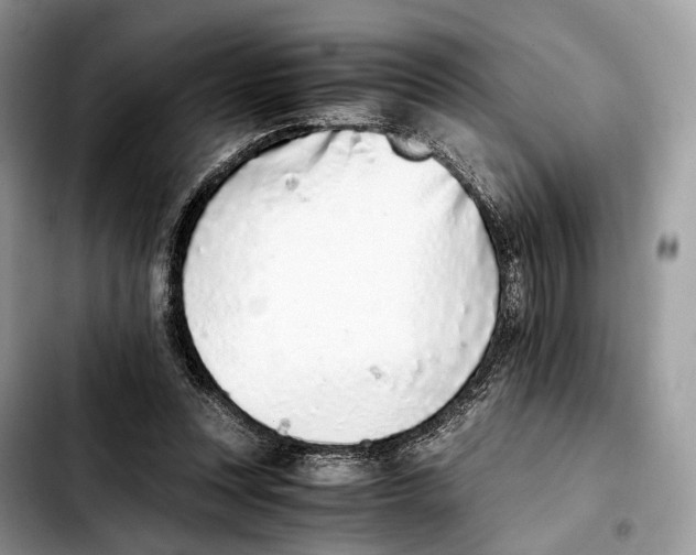 X0000103450351200810101132