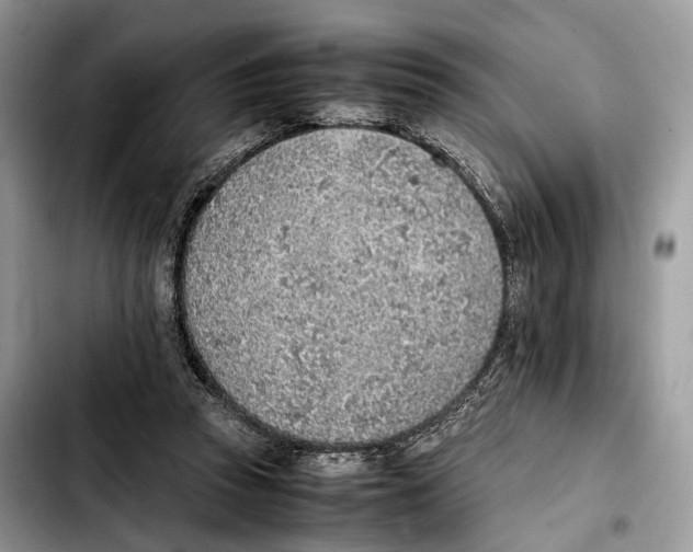 X0000103450353200810101132