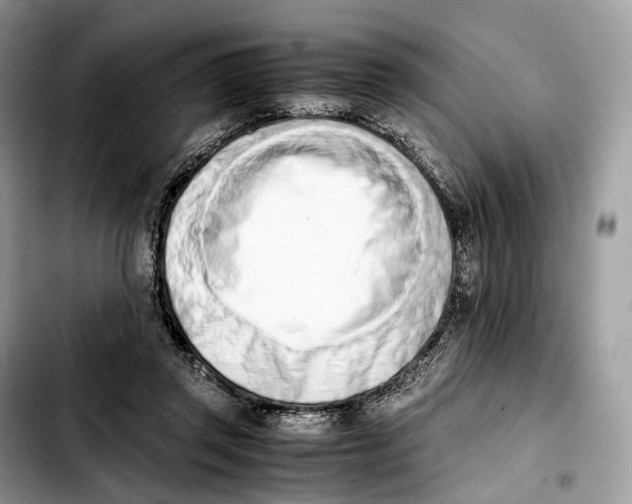 X0000103450357200810101132