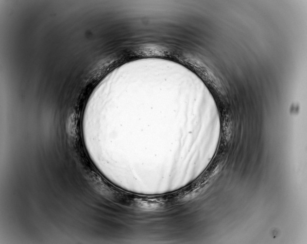 X0000103450359200810101132