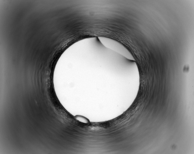 X0000103450360200810101132