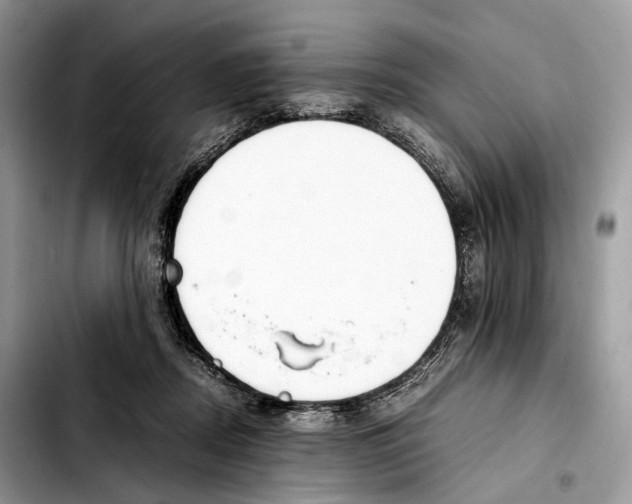 X0000103450362200810101133