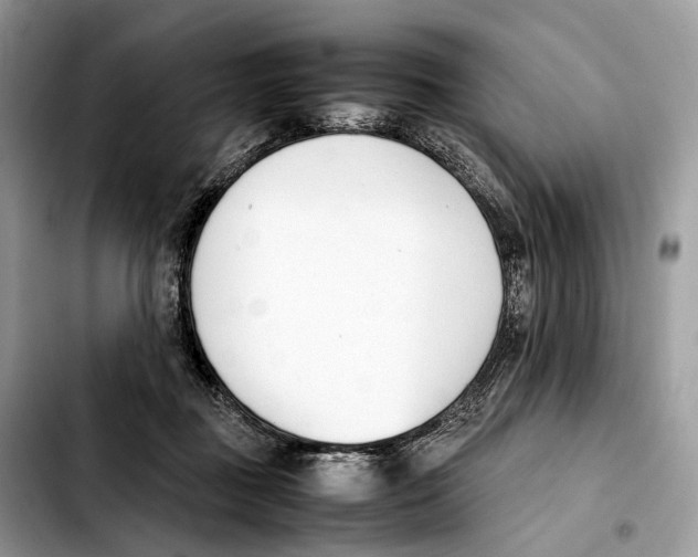 X0000103450363200810101133