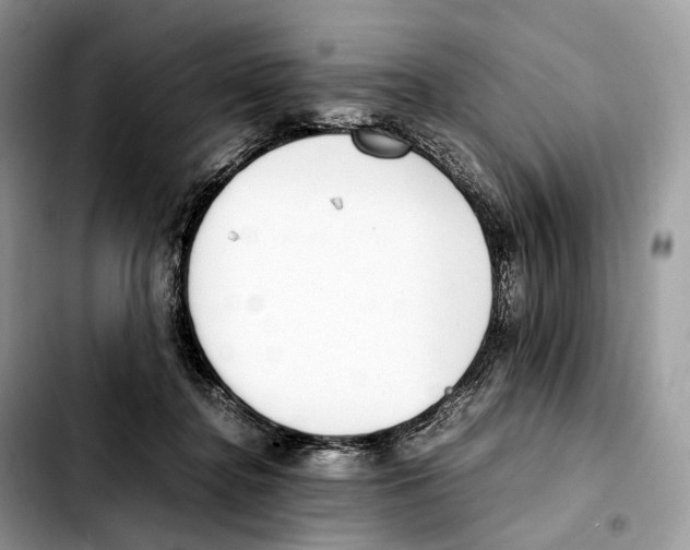 X0000103450364200810101133