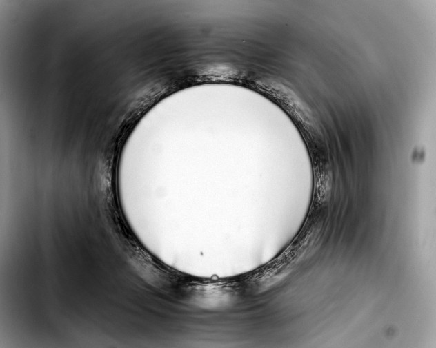 X0000103450365200810101133