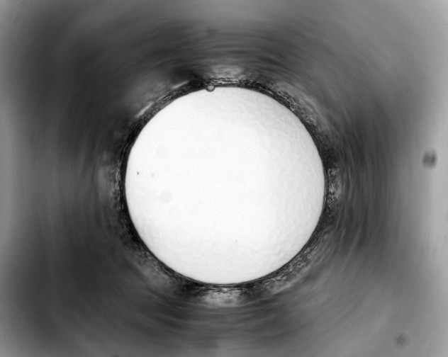 X0000103450369200810101133